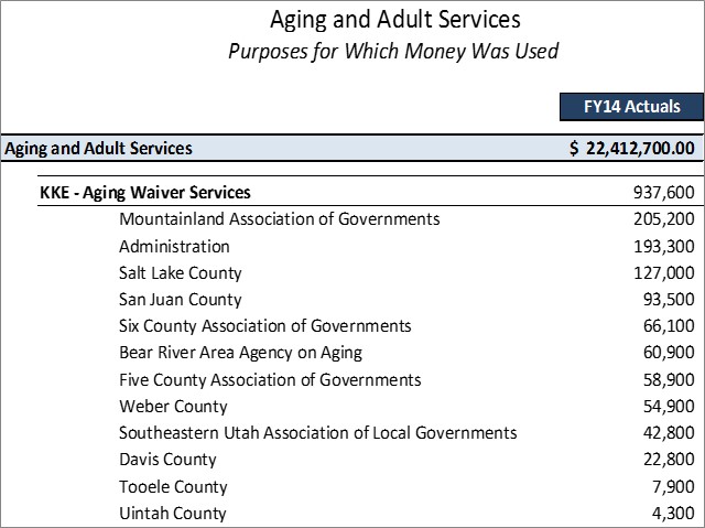 DAAS Aging Waiver Services Detailed Purposes